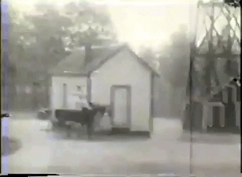 Geraldine L. Thompson at Sunny Hill Plantation in Thomasville, Georgia